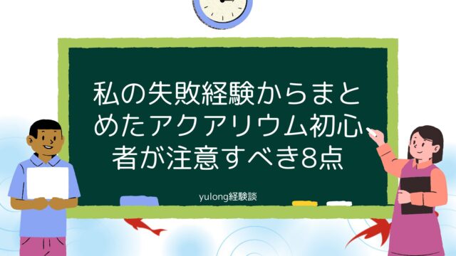 私の失敗経験からまとめたアクアリウム初心者が注意すべき8点