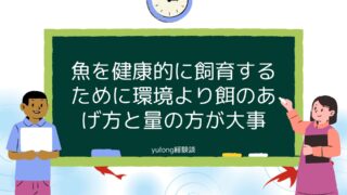 魚を健康的に飼育するために環境より餌のあげ方と量の方が大事[経験談]