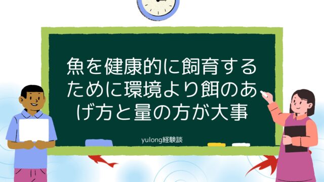 魚を健康的に飼育するために環境より餌のあげ方と量の方が大事[経験談]