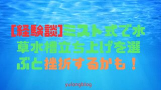 [経験談]ミスト式で水草水槽立ち上げを選ぶと挫折するかも！