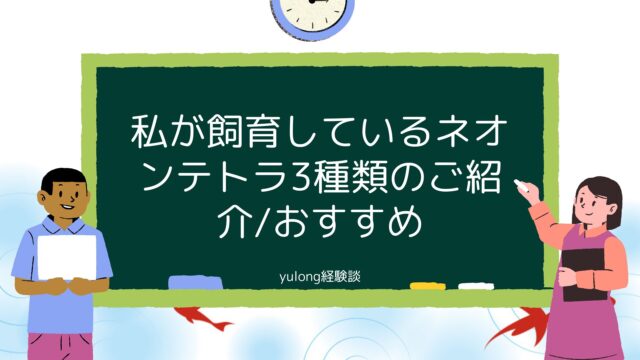 私が飼育しているネオンテトラ3種類のご紹介[おすすめ]