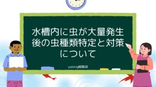 私の水槽内に虫が大量発生後の虫種類特定と対策について