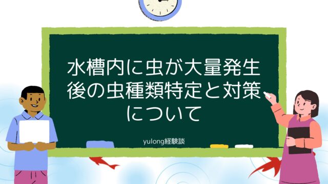 私の水槽内に虫が大量発生後の虫種類特定と対策について