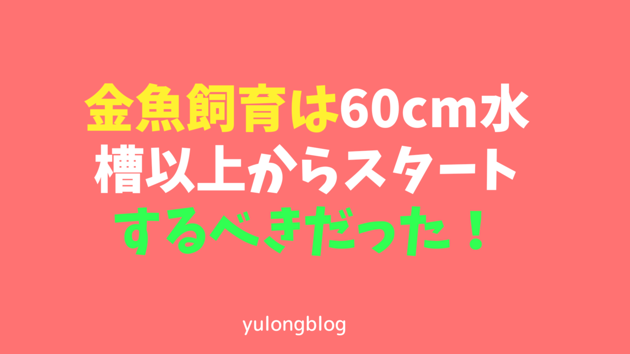 金魚飼育は60cm水槽以上からスタートするべきだった！