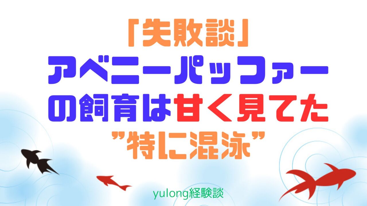 アベニーパッファーの飼育は甘く見てた