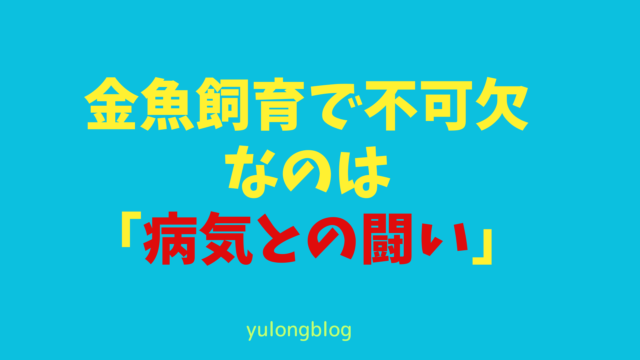 金魚飼育で不可欠なのは「病気との闘い」